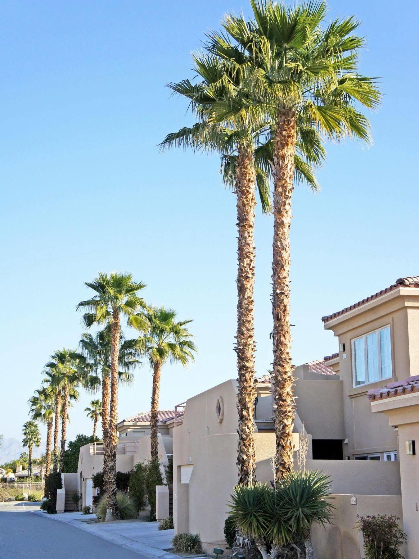 Raintree'S Cimarron Golf Resort Palm Springs Катидрал-Сити Экстерьер фото